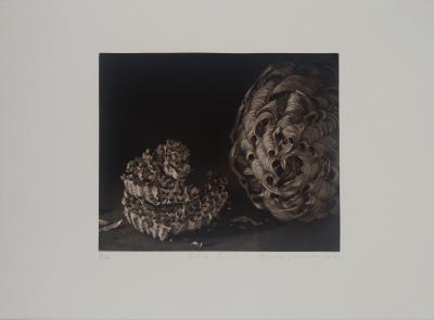Judith ROTCHILD - Nids de frelon, 2014 - Gravure originale signée 2