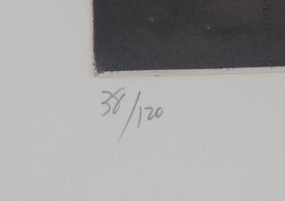 Judith ROTCHILD - Nids de frelon, 2014 - Gravure originale signée 2