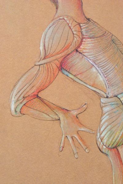 Léonor FINI : Le duel ridicule, 1980, Lithographie signée 2