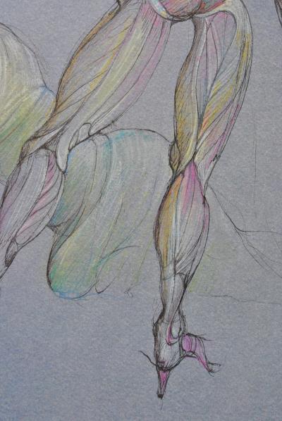 Léonor FINI - Théâtre : L'Effroi, 1980 - Lithographie signée 2