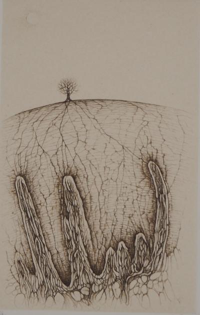 Cecile REIMS: Solitary tree - Original signed etching 2