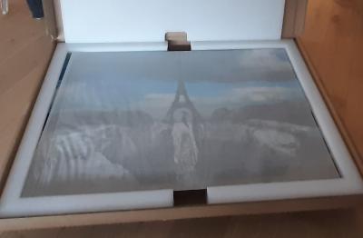 JR Trompe l'oeil, Les Falaises du Trocadéro, Paris, France, 2021 (18 Mai 2021, 19h58) 2021 2