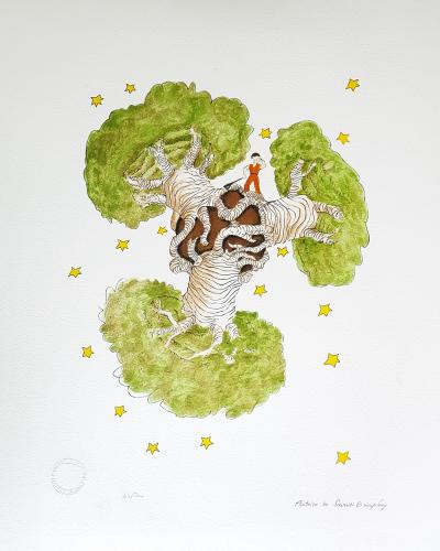 Antoine de SAINT EXUPERY (d’après) - Le Petit Prince et les baobabs - Lithographie 2