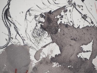 Salvador DALI  : Biblia Sacra - Le lion et le boeuf - Lithographie Signée 2