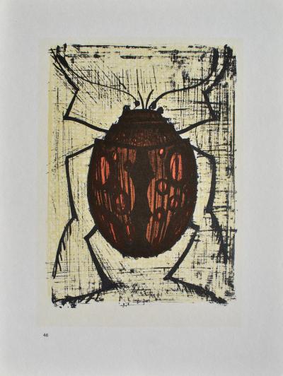 Bernard  BUFFET (d’après) : Les insectes, 1967 - 10 Lithographies 2