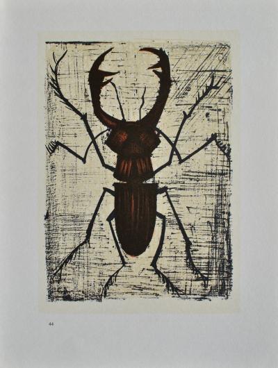 Bernard  BUFFET (d’après) - Les insectes, 1967 - 10 Lithographies 2