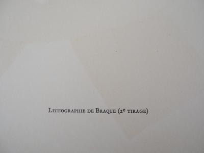 Georges BRAQUE- Colombe sur fond vert, 1975 - Lithographie originale 2