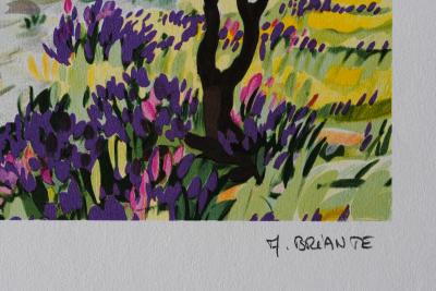 Anne-Marie BRIANTE - Magnifique Provence - Lithographie originale signée et numérotée 2