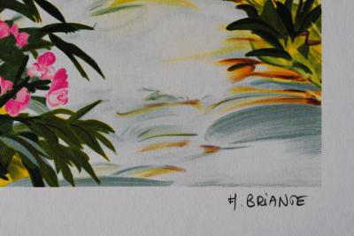 Anne-Marie BRIANTE - Magnifique Provence - Lithographie originale signée et numérotée 2