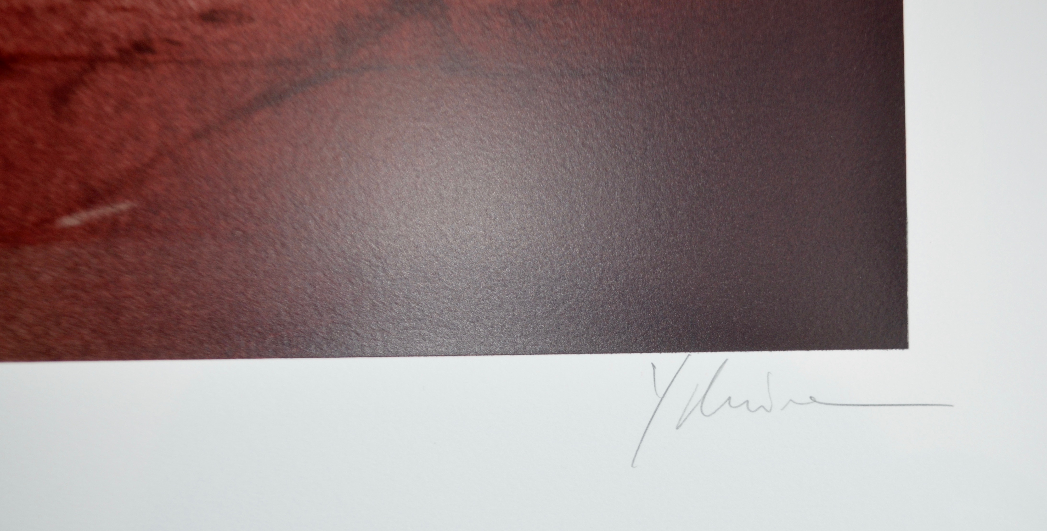 Yslaire Sambre Le fruit de nos entrailles Sérigraphie signée