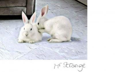 Mr STRANGE - Black Hole, 2021 - Sérigraphie signée et numérotée 2