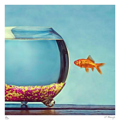 Mr STRANGE - Le Poisson Rouge, 2021 - Sérigraphie signée et numérotée