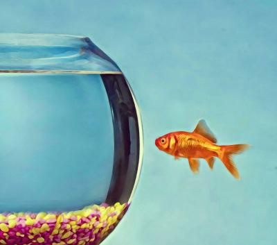 Mr STRANGE - Le Poisson Rouge, 2021 - Sérigraphie signée et numérotée 2