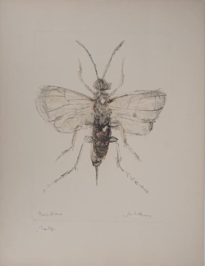 Michel HENRY - Les insectes : le Pompilidae -  Monotype original signé 2