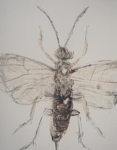 Michel HENRY - Les insectes : le Pompilidae -  Monotype original signé 2