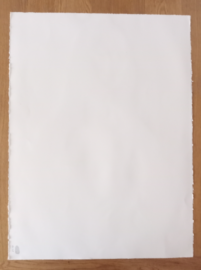 Mr Brainwash - Rescue Red, 2019 - Sérigraphie signée au crayon 2