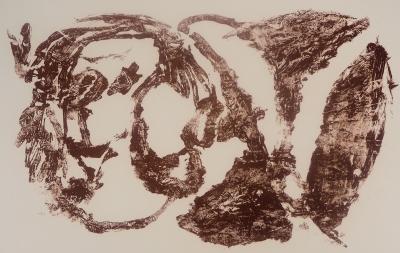 Pierre Alechinsky - La Reine des Murs, 1960 - Lithographie originale signée