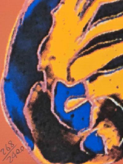 Andy WARHOL (d’après) - Zebre - Granolithographie 2