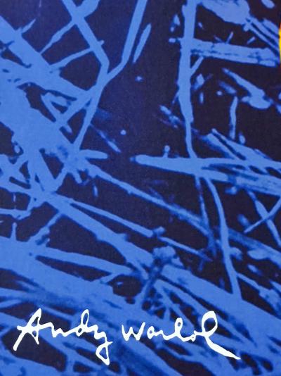 Andy WARHOL (d’après) - Papillon - Granolithographie 2