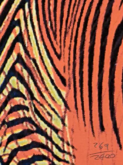 Andy WARHOL (d’après) - Zebre - Granolithographie 2