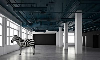 Mr Strange - Equus Zebra II, 2020 - Impression sur toile 2