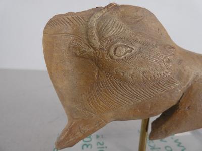 Bison préhistorique - Reproduction en résine 2