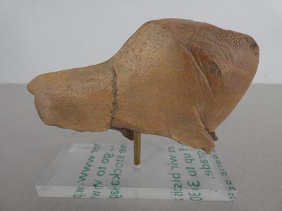 Bison préhistorique - Reproduction en résine 2