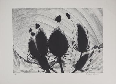 François BROSOLO - Les chardons - Lithographie originale signée 2