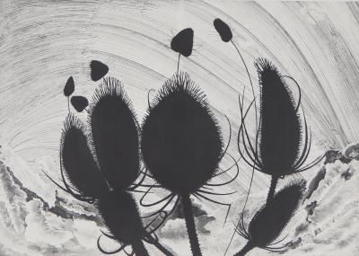 François BROSOLO - Les chardons - Lithographie originale signée 2