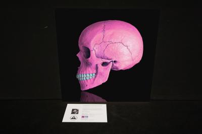 Mr Strange - Death in Pink, 2021 - Giclée sur Aludibond 2
