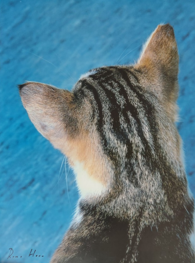 Roni HORN  - Untitled (Kitty Cat), circa 2000 - Impression offset signée au crayon 2