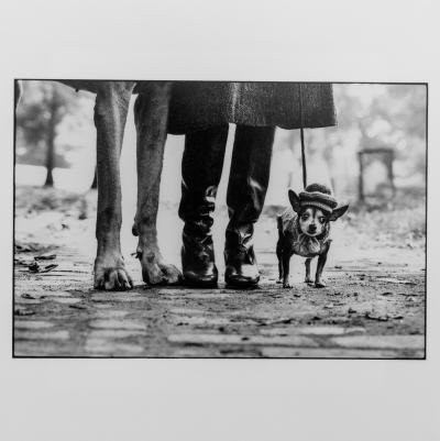 Elliott ERWITT - New York, 1974 - Photographie estampilée 2