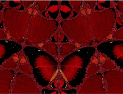 Damien Hirst - H10-4 Suiko (The Empresses) - Impression sur aluminium 2