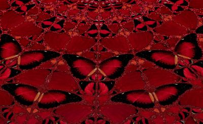 Damien Hirst - H10-4 Suiko (The Empresses) - Impression sur aluminium 2