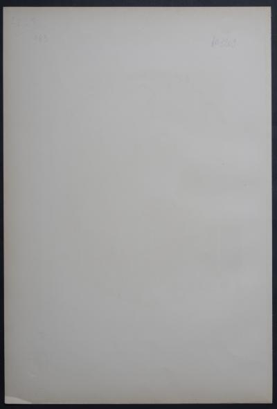 Pierre BONNARD - Les Maîtres de l'Affiche : La Revue Blanche, 1896 - Lithographie 2