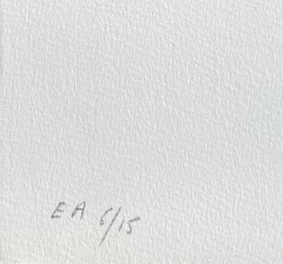 César - Compression billets Air France - Lithographie originale signée au crayon 2