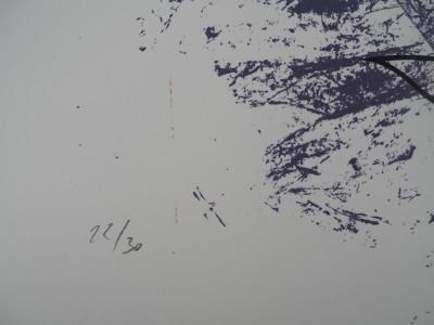 PATITUCCI Georges : Paysage sensuel, 1980 - Sérigraphie originale 2