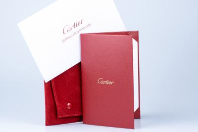Bracelet Cartier Juste un Clou en or gris 18 carats 2