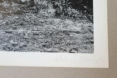 Helmut Newton - Croix Valmer, 1976 - Photolithographie 2
