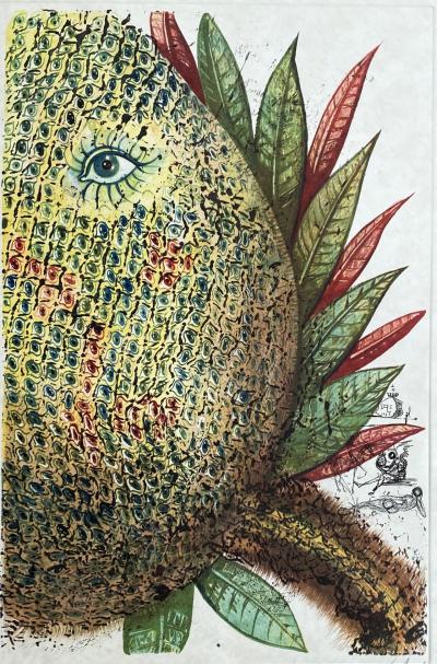 Salvador DALI - Fleurs rêvées : Ananas - Gravure originale signée au crayon 2