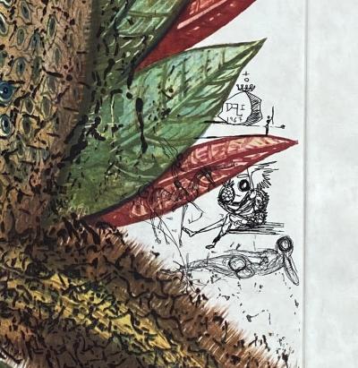 Salvador DALI - Fleurs rêvées : Ananas - Gravure originale signée au crayon 2
