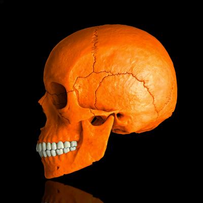 Mr Strange - Orange Skull, 2021 - Giclée sur panneau Aludibond 2