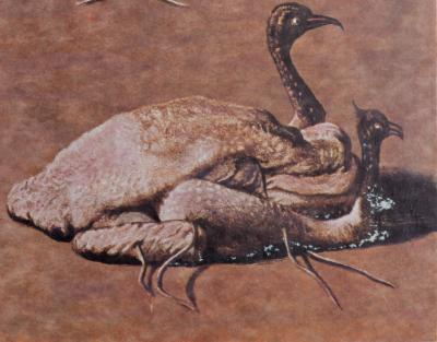 Salvador DALI - Les Diners de Gala, 1977 - Photolithographie originale avec une pointe sèche 'remarque', signée à la main 2