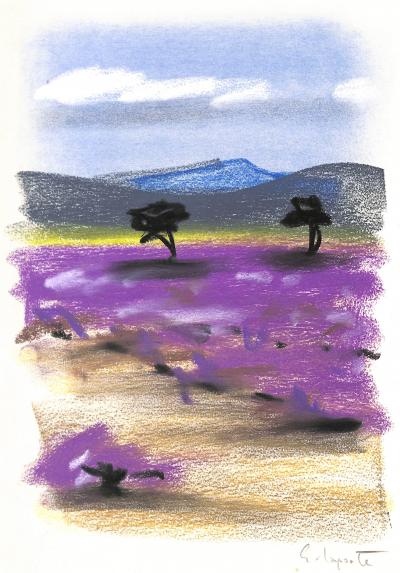 Georges LAPORTE  - Dans un champ de lavande, 1974 - Dessin original au pastel signé 2