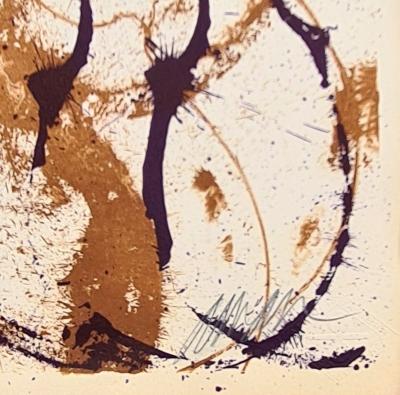 Arman - Accumulation de violon - Lithographie originale signée numérotée au crayon 2