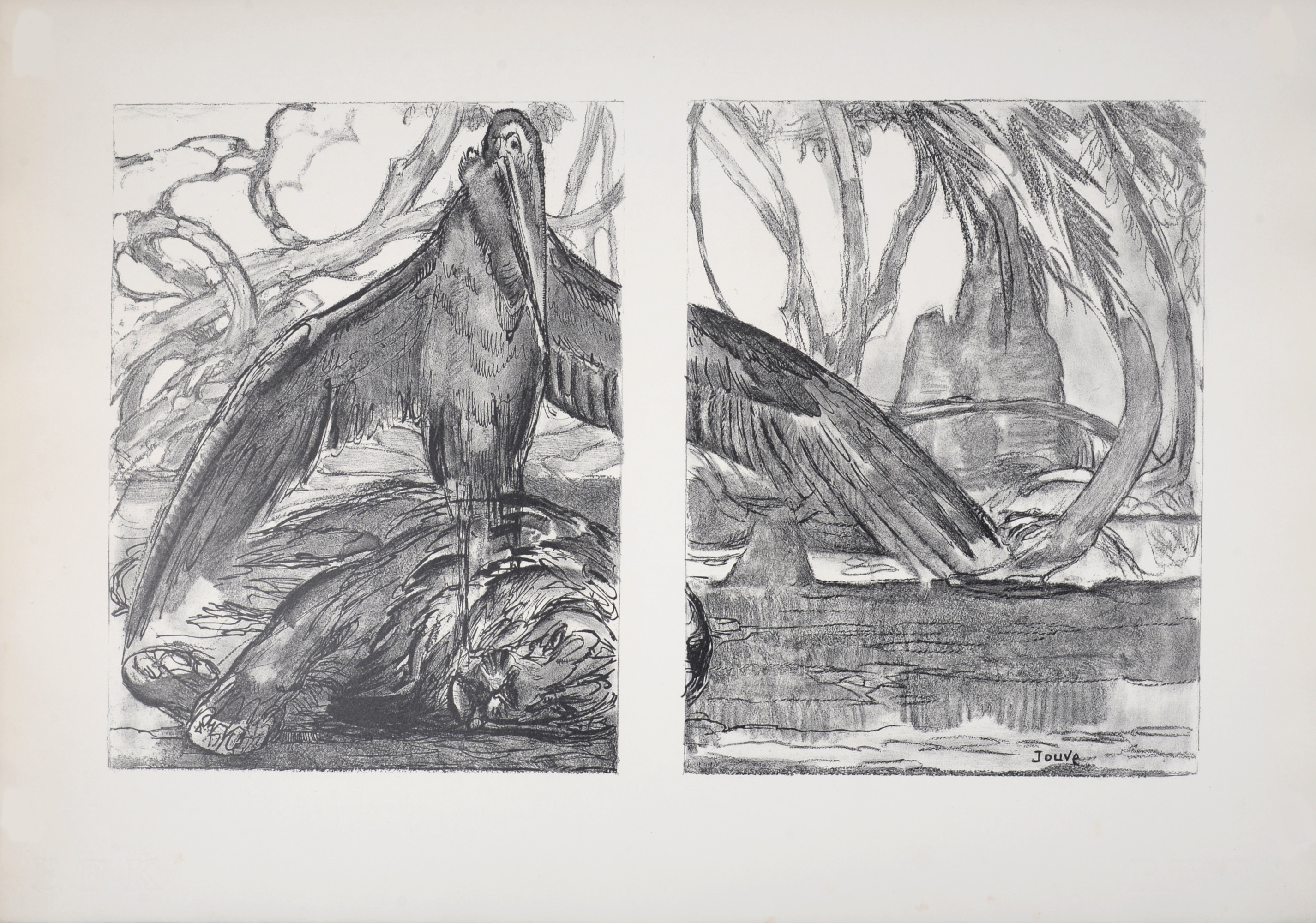 Paul JOUVE - Le Marabout et le lion, 1934 - Litografía original sobre ...