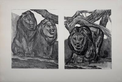 Paul JOUVE - Les Lions, 1934. Lithographie originale sur papier BFK Rives 2