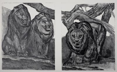 Paul JOUVE - Les Lions, 1934. Lithographie originale sur papier BFK Rives 2