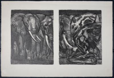 Paul JOUVE - Elephants, 1934 - Original lithograph on BFK Rives paper 2