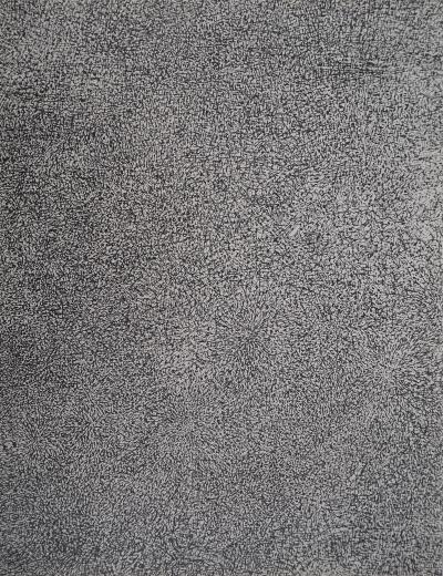 Jean DUBUFFET - Prairie de Barbe, 1960 - Sérigraphie 2